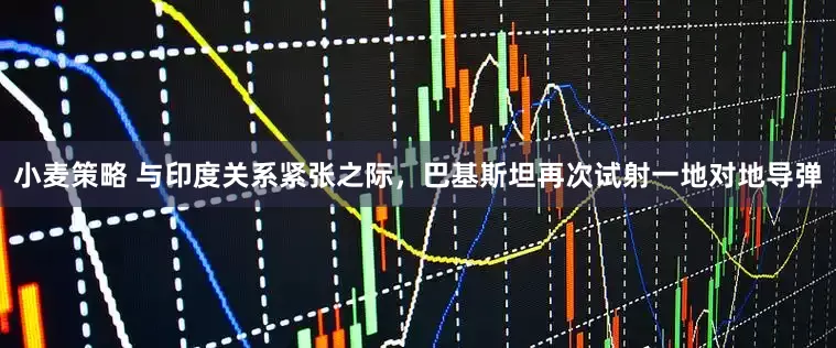 小麦策略 与印度关系紧张之际，巴基斯坦再次试射一地对地导弹