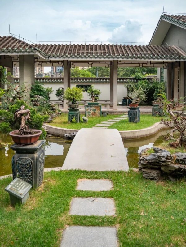 数魅优配 深藏闹市的“岭南盆景之家”，美进心坎！