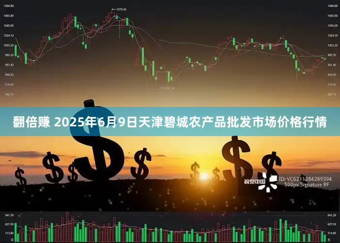 翻倍赚 2025年6月9日天津碧城农产品批发市场价格行情