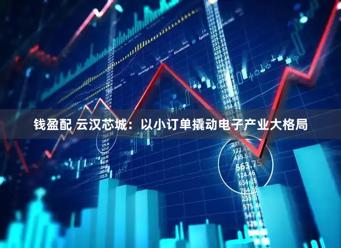 钱盈配 云汉芯城：以小订单撬动电子产业大格局